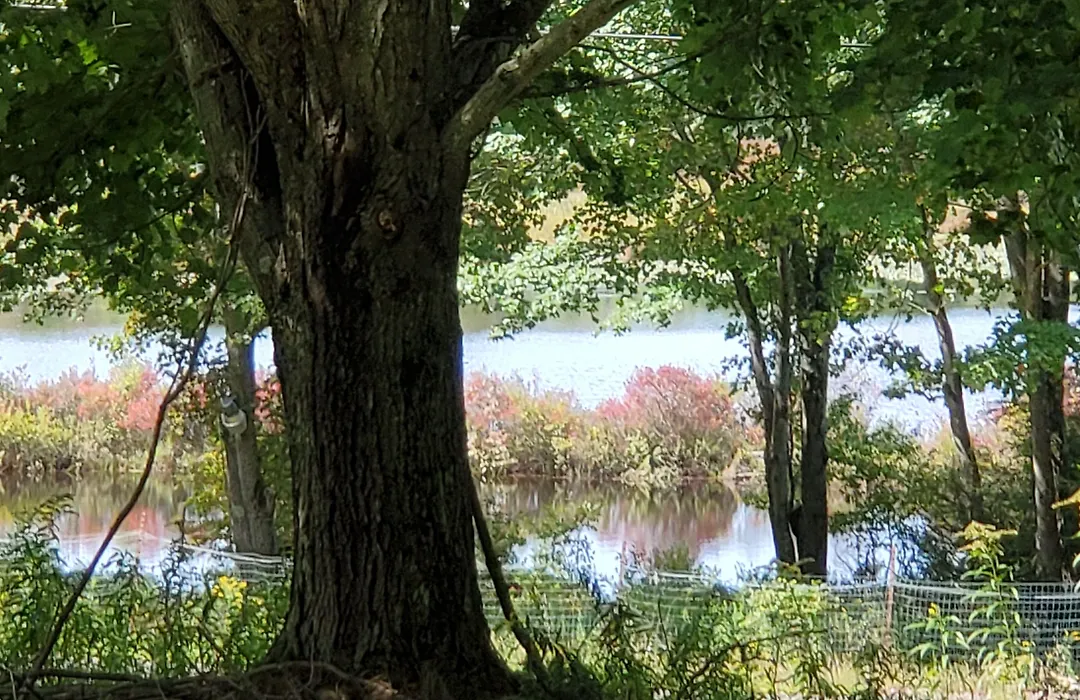 Pocono Mountain Hotel And Spa-1
