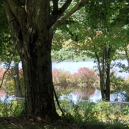 Pocono Mountain Hotel And Spa-3